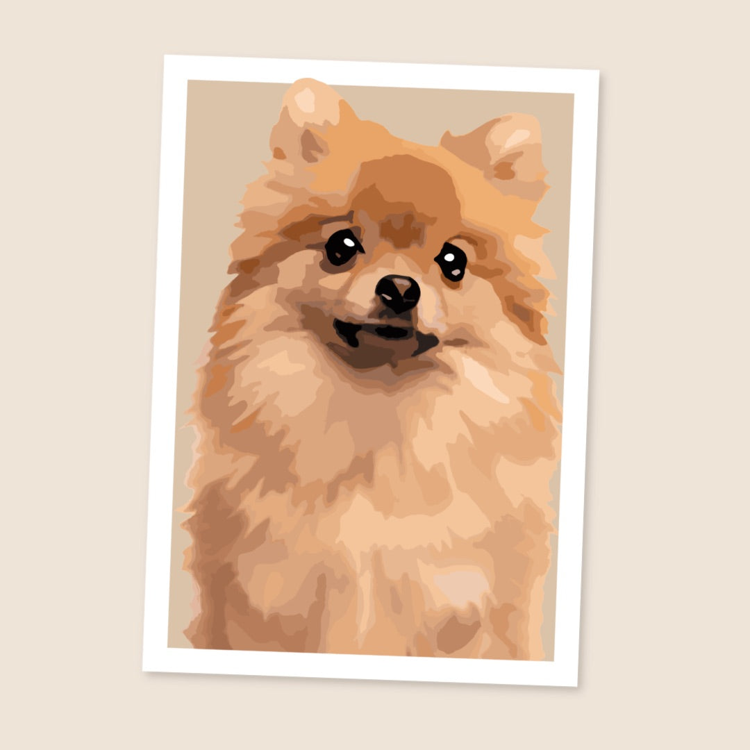 Pomeranian Portrait Art Print