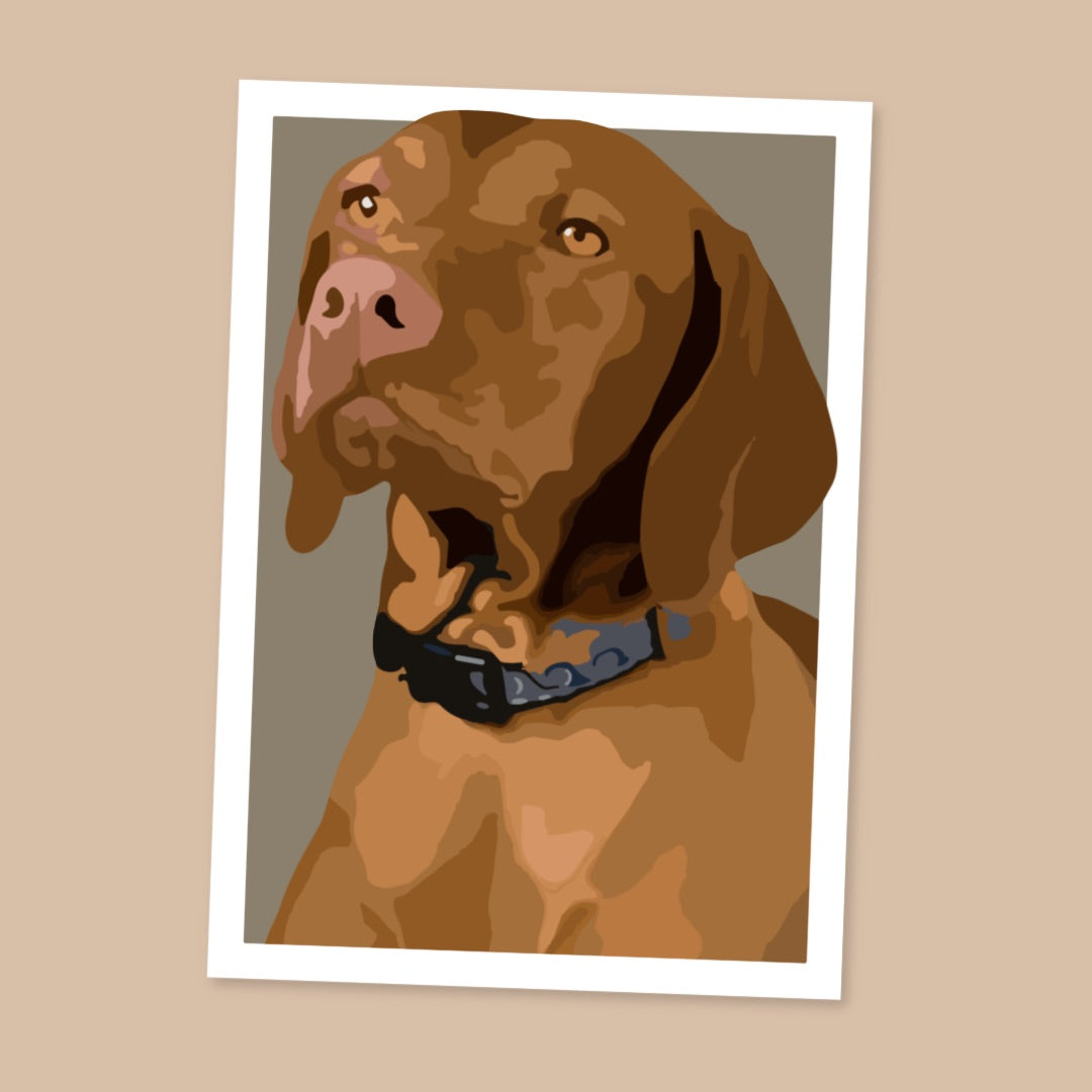 Vizsla Portrait Art Print