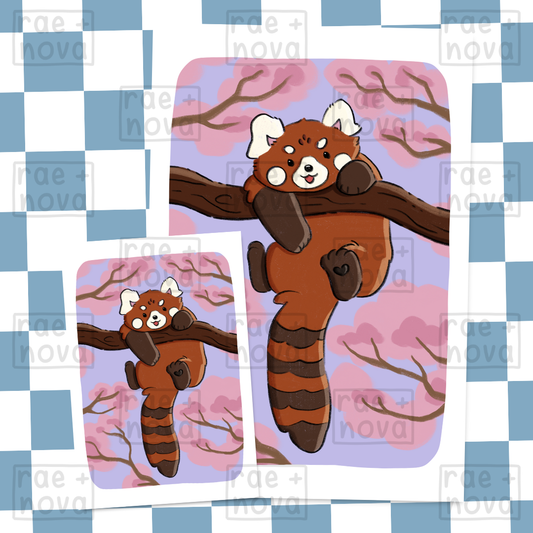 Red Panda Spring Art Print