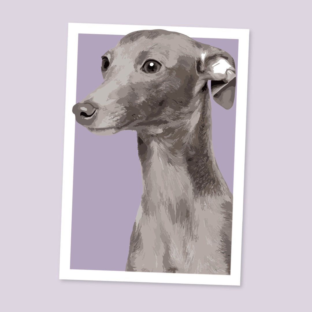 Whippet Portrait Art Print