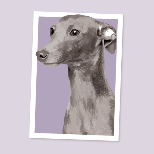Whippet Portrait Art Print