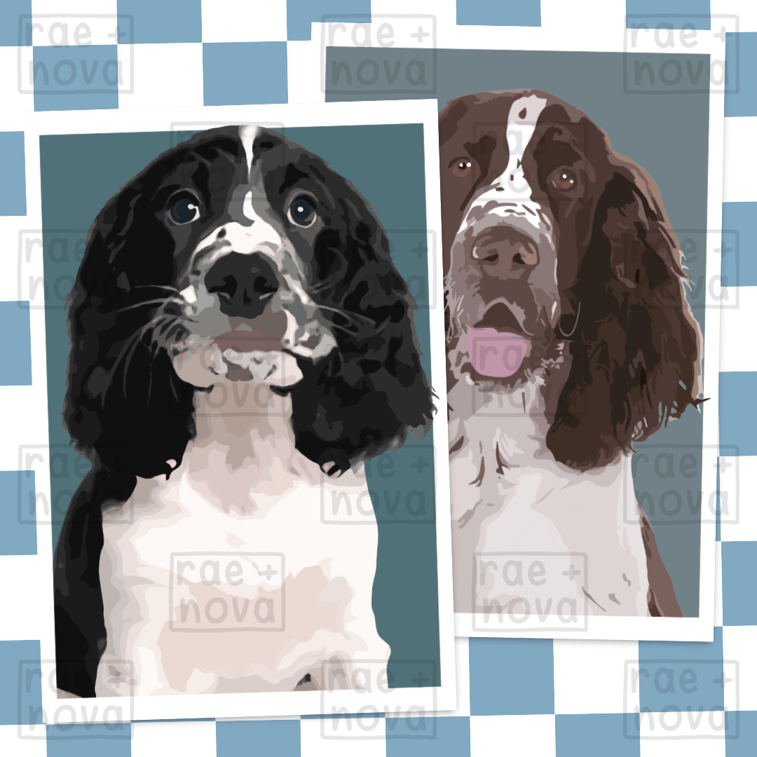 Springer Spaniel Portrait Art Print