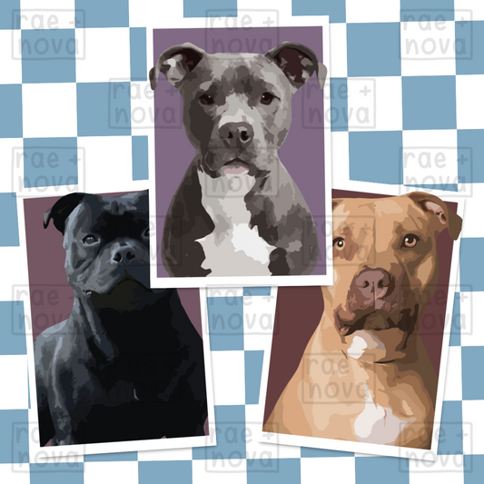 Staffordshire Bull Terrier Portrait Art Print