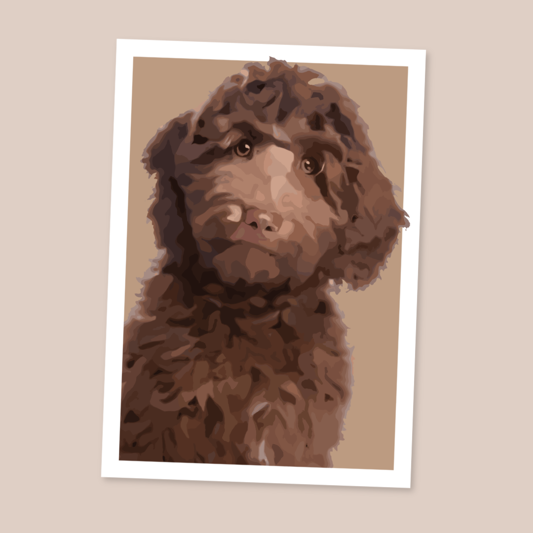 Cockapoo Portrait Art Print