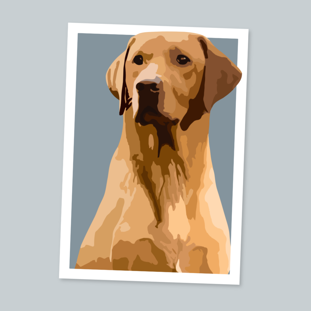 Labrador Portrait Art Print