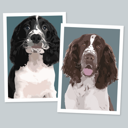 Springer Spaniel Portrait Art Print