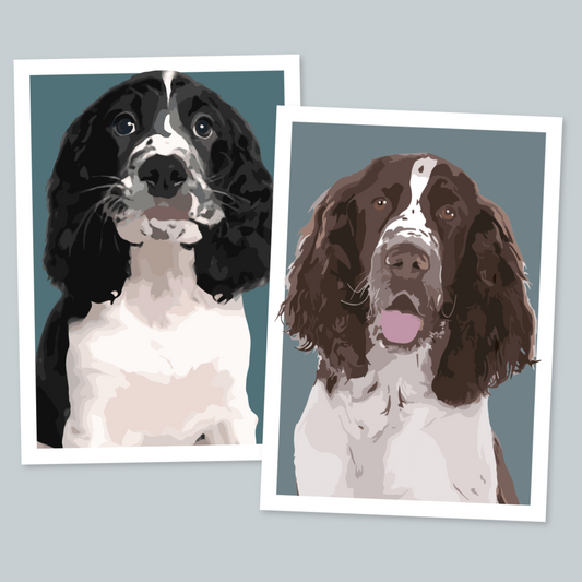 Springer Spaniel Portrait Art Print