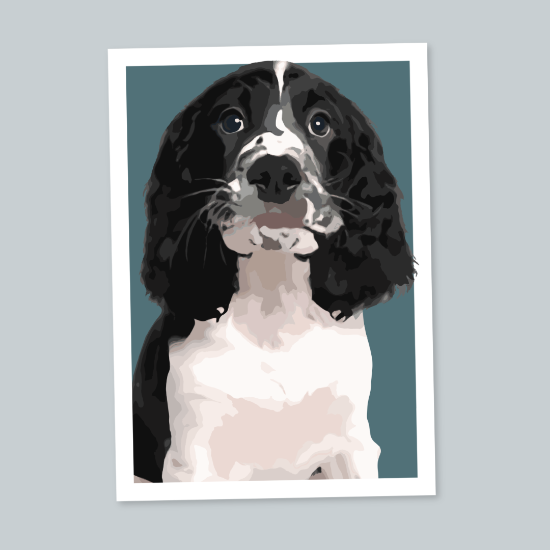 Springer Spaniel Portrait Art Print