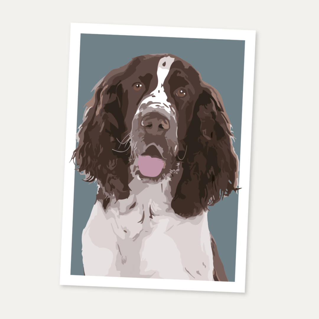 Springer Spaniel Portrait Art Print