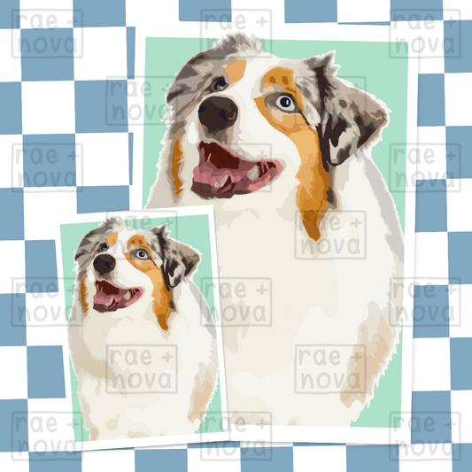 Australian Shepherd Portrait Art Print