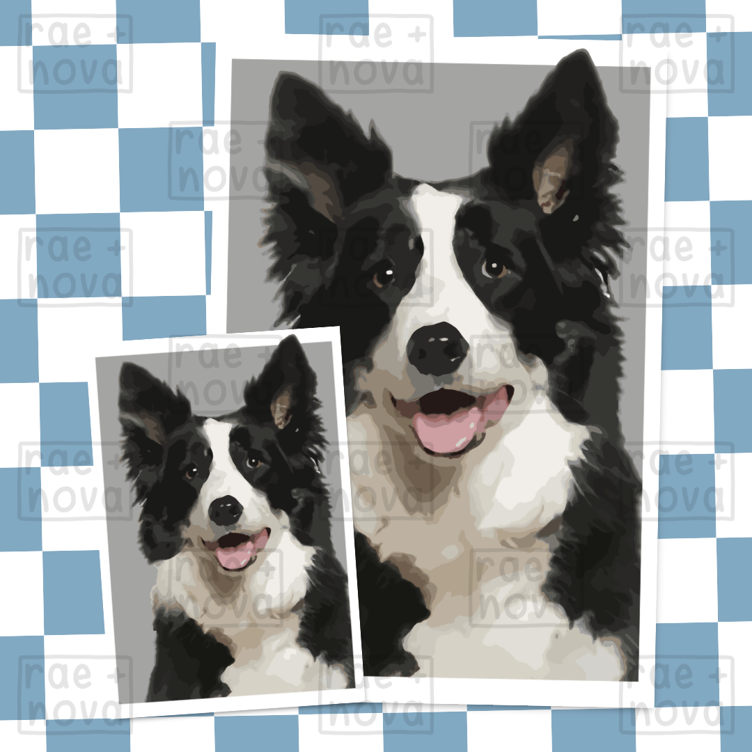 Border Collie Portrait Art Print