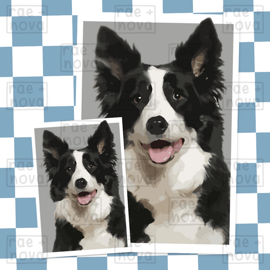 Border Collie Portrait Art Print