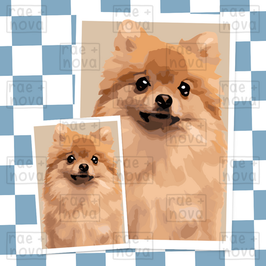 Pomeranian Portrait Art Print