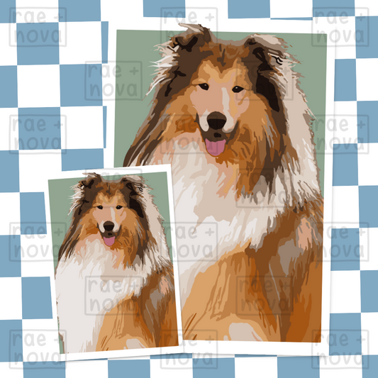 Rough Collie Portrait Art Print