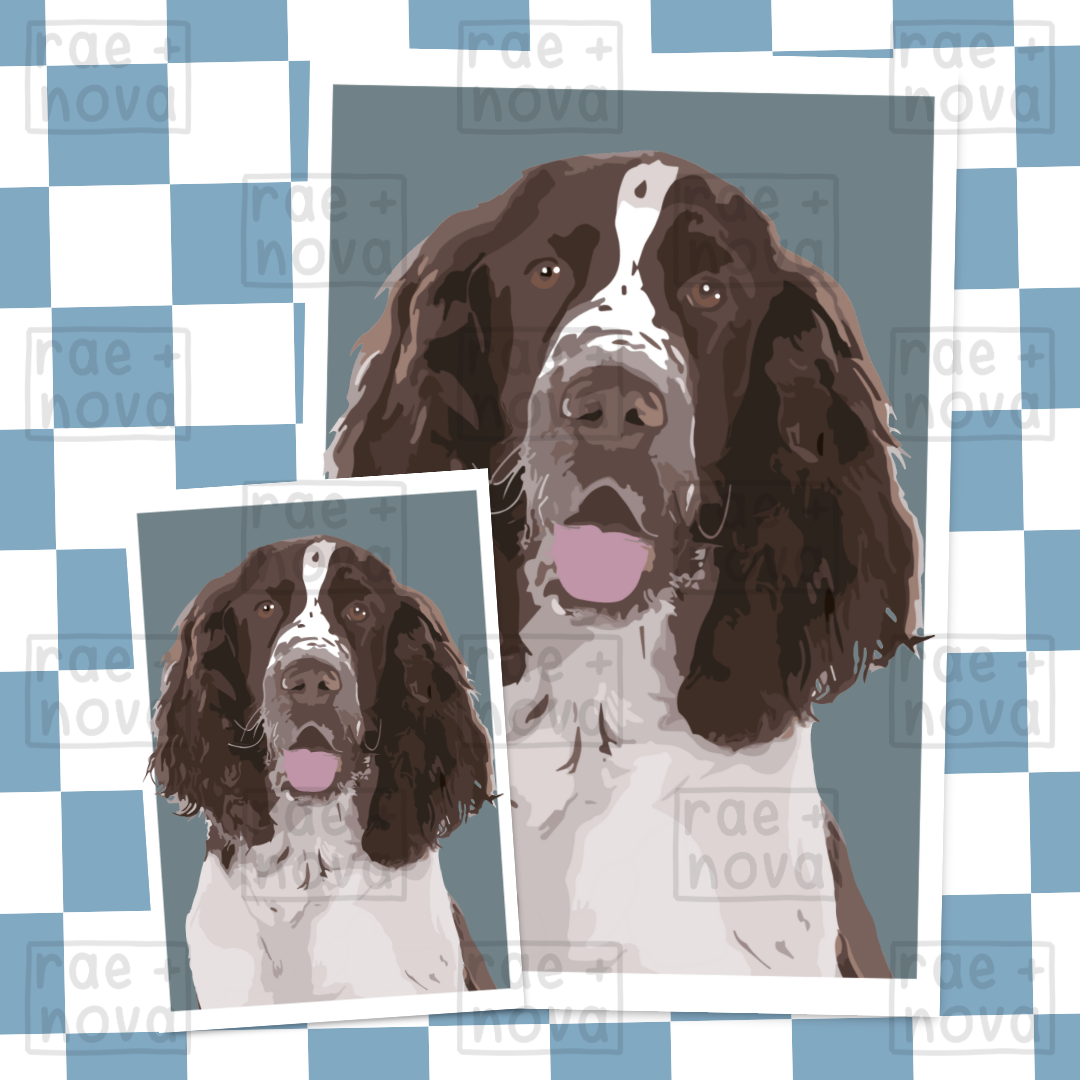 Springer Spaniel Portrait Art Print