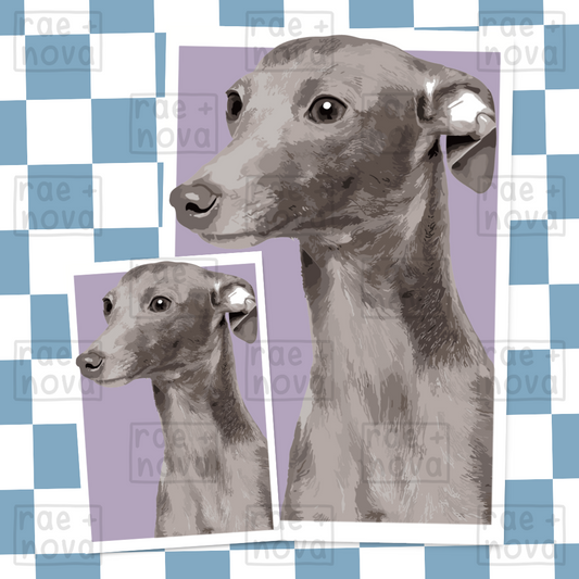 Whippet Portrait Art Print